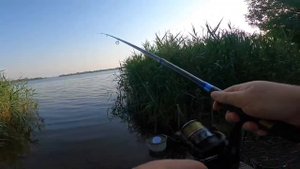 Рыбалка в Шатуре на Донки . Все зачётные места заняты, пришлось ловить где прийдется
