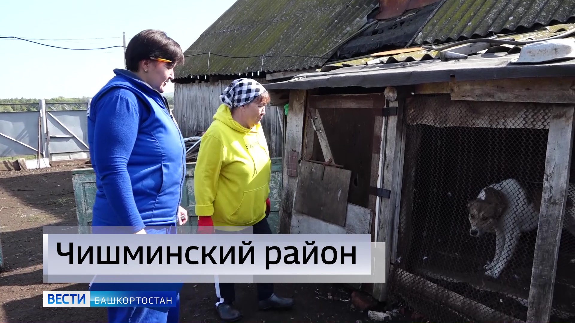 В Чишминском районе Башкирии зафиксирована вспышка бешенства