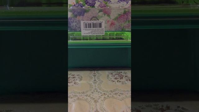 Земляника всходит, что делать дальше. смотреть онлайн