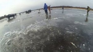 Ловля корюшки. Опять жор.  Ловля корюшки на комбайны.  Сахалинская рыбалка & Sakhalin fishing