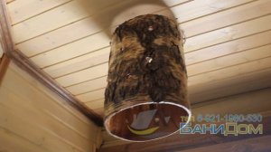 Люстра из коры березы "Пенёк" своими руками