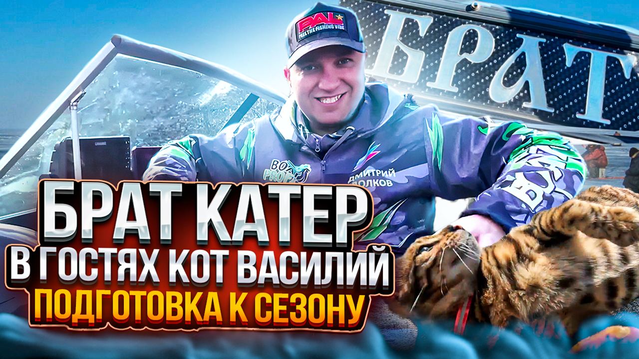 "Брат" катер, подготовка к сезону.  В гостях кот Василий!