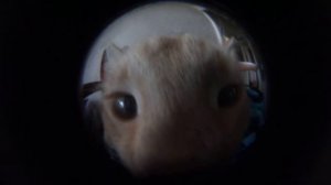 фишай - fish-eye (Рыбий глаз)