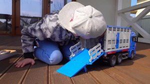 Машинки Bruder и Полицейская машина застряли. Грузовик для Перевозки Животных приехал помочь