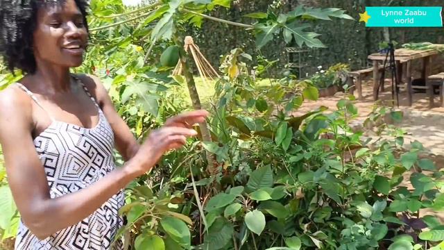 Turn your city home into a profitable urban farming ground the results will surprise you.