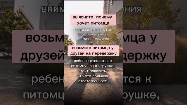 Чем младше ребенок, тем хуже он понимает, что означает заботиться о другом живом существе🐈