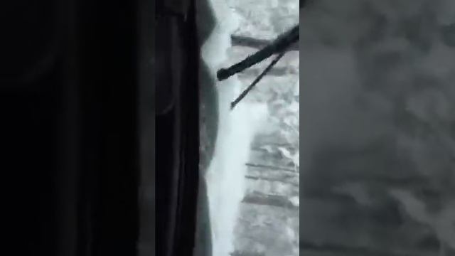 15 декабря 2016 г.Армянский зверь смотреть онлайн