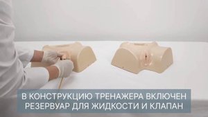 М1018 Тренажер катетеризации мочевого пузыря у мужчин