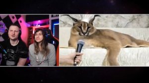 САМЫЙ ТУПОЙ ЧИТЕР В AMONG US / ПРАНК ЧАТА АМОНГ АС | РЕАКЦИЯ на Dачника