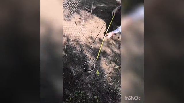Врата ✔️?? хобби ветврача.
