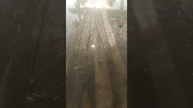 Новобейсугская