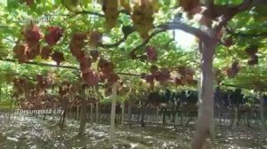 город "Турсунзаде", "Регар Сити". Tursunzade REGAR
