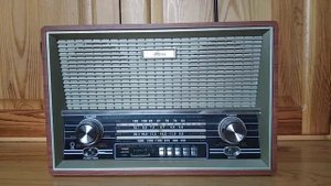 Ritmix RPR-101 почему-то принимает сигнал DMR ретранслятора