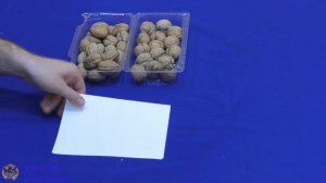 ?Посадка Грецкого Ореха осенью из семян(орешком). ОРЕХОВАЯ РОЩА своими руками?