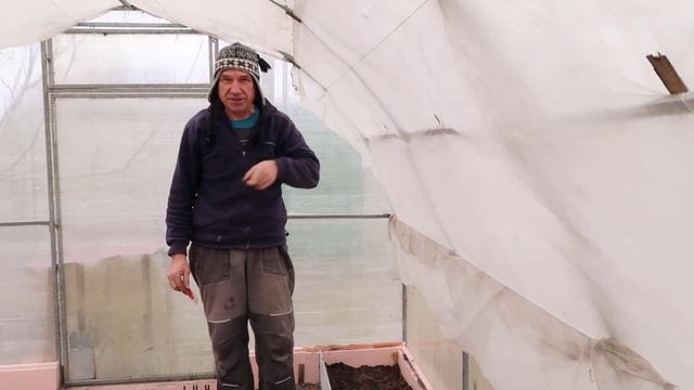 Когда и КАК выращивать крупный редис, без химии смотреть онлайн