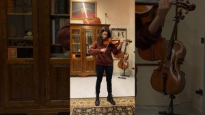 Daniele Tonarelli Master Violinmaker-violin 2020 Strad Model sound sample.