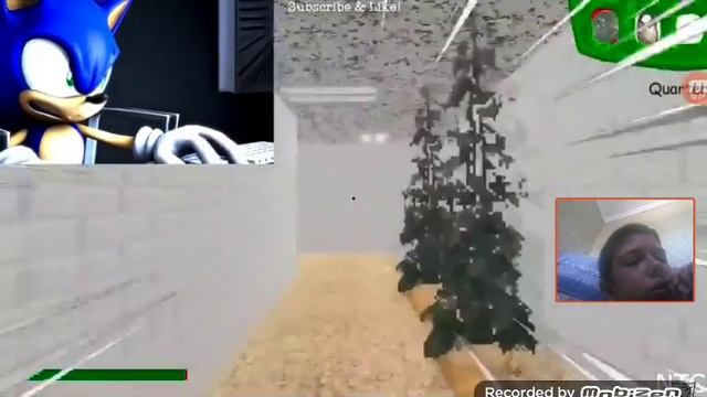 Соник играет в балди реакция смотреть онлайн