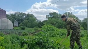 Я СТРИГУ ГАЗОН ИЛИ КАК ПРАВИЛЬНО РЕЗАТЬ ТРАВУ