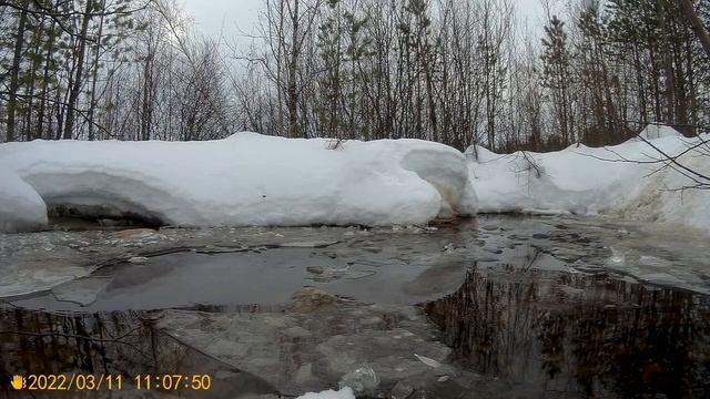 Мотобуксировщик- Экстрим,англоСуки,канал на Яндекс Дзен так же Фёдорович 56 смотреть онлайн