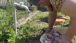 Plum Harvest | Making Plum Appetizers