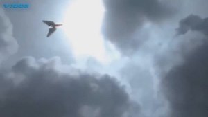 10 Ангелов Снятых на Камеру