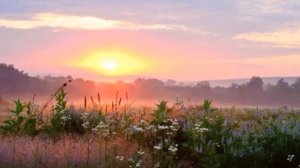 В небе тают облака...