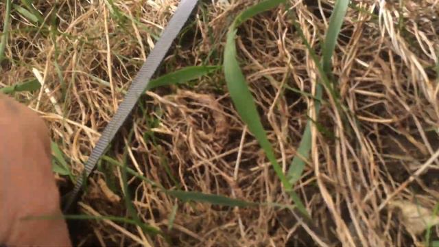 Кемпинговая палатка Trek Planet Omaha Twin 4 смотреть онлайн