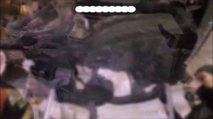 Замена сцепления DSG 7 Фольксваген Мультивен