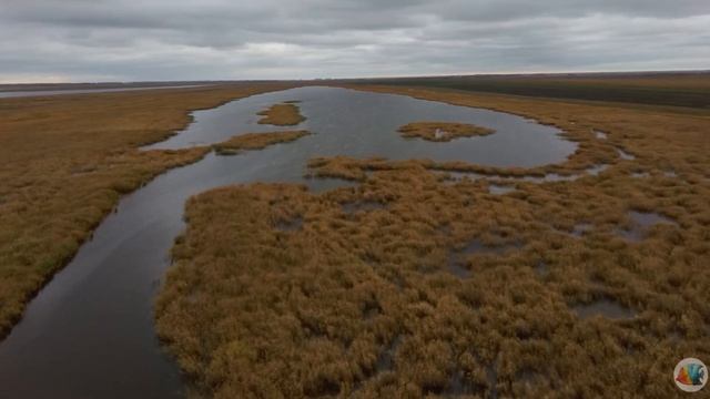 аэросъемка/озеро САРТЛАН/щеголи смотреть онлайн