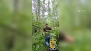 Беспилотник нашёл грибника