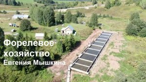 Форелевое хозяйство Евгения Мышкина