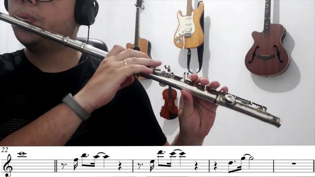 Preparai vos, ó igreja amada | Flauta Transversal | Arranjo смотреть онлайн