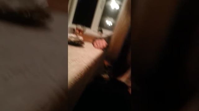 Мудрые ответы часть 1 смотреть онлайн