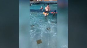 Аквапарк Тропикана в Миколайках. Аквапарк Tropicana hotel Golebiewski в Миколайках