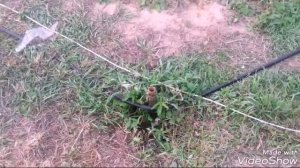 Cкважина на воду в две трубы (абиссинки)