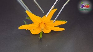 Чем отличаются сортовые семена от гибридных