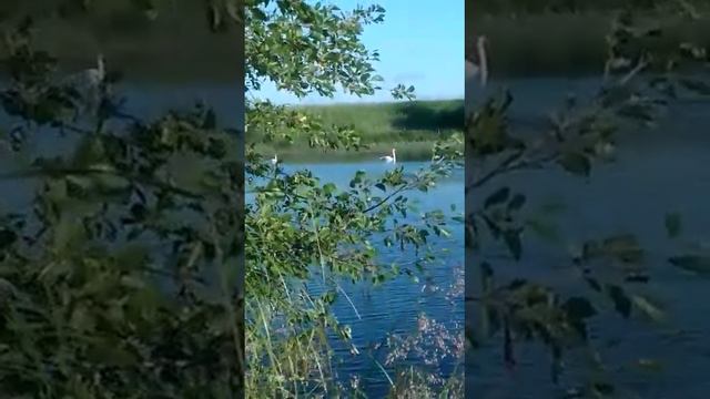 Фотоохота) смотреть онлайн