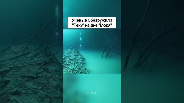 Учёные обнаружили "Реку" на дне "Моря"