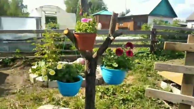 Купаемся на даче, обзор моего огорода. смотреть онлайн