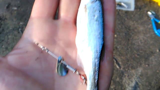 Самодельная вертушка весом один грамм ловит не только окуня смотреть онлайн