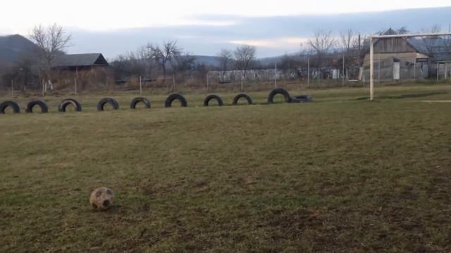 ⚽ КЛАСНЫЕ УДАРЫ И СЕЙВЫ В РЕАЛЬНОЙ ЖИЗНЕ ⚽ ОФИГЕННЫЙ УДАР смотреть онлайн