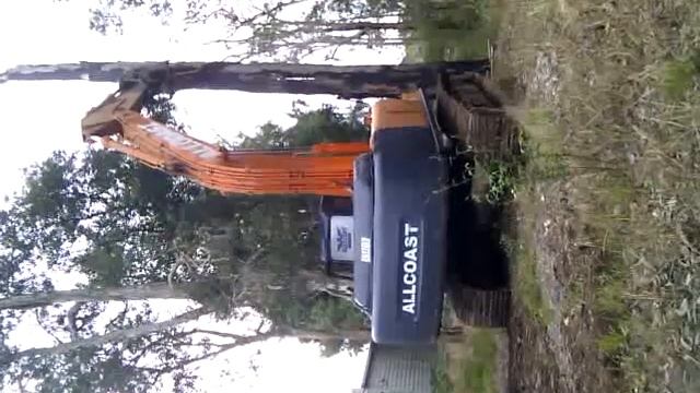 What Doody does.. You git that tree!!. смотреть онлайн