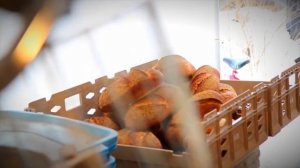 Что будет, если проглотить рыбную кость?