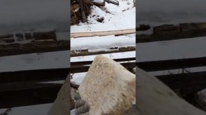 Кирпич из опилок и гипса.