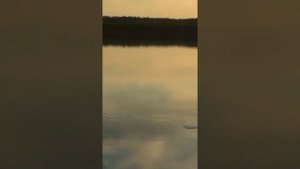 Обзор воблера Loco Perro100SL фирмы Pontoon21