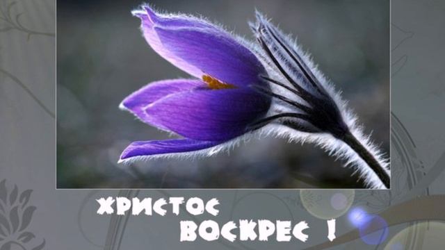 Верить  Воскресшему... слово А И.Матвейчук смотреть онлайн