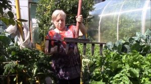 Дачные хитрости. Вечные подвязки. Маркер для лука. Корнюшина Людмила