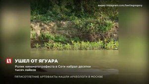 Британцу удалось запечатлеть момент спасения капибары от хищника
