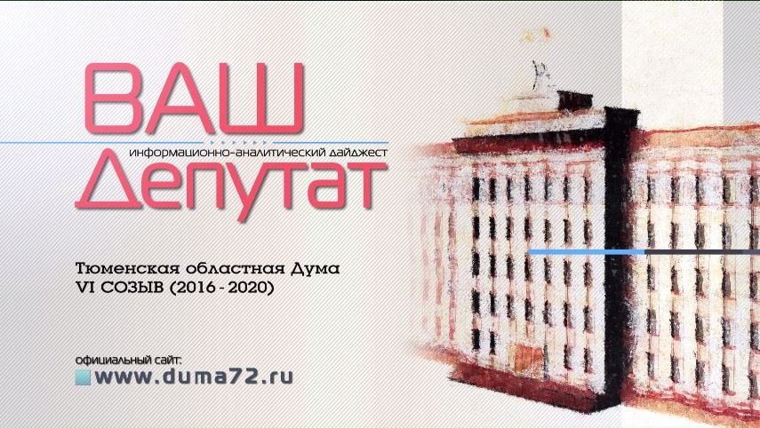 Ваш депутат № 546