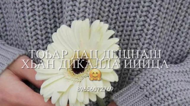 Нан хаз мерз дешнаш?Видео озвучка на заказ?? смотреть онлайн